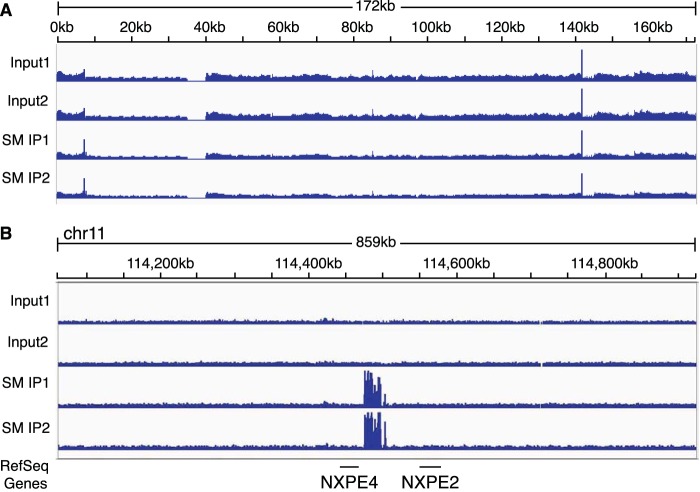 FIG 14