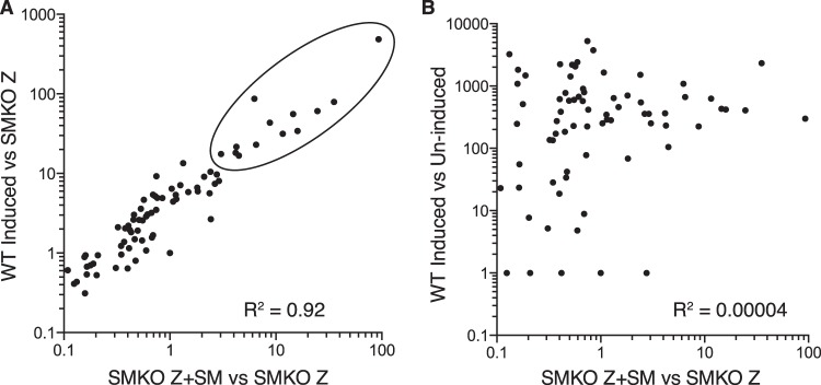 FIG 2