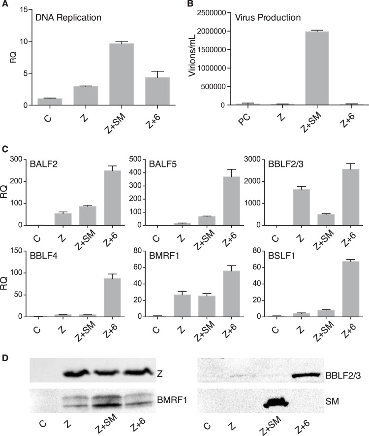 FIG 12