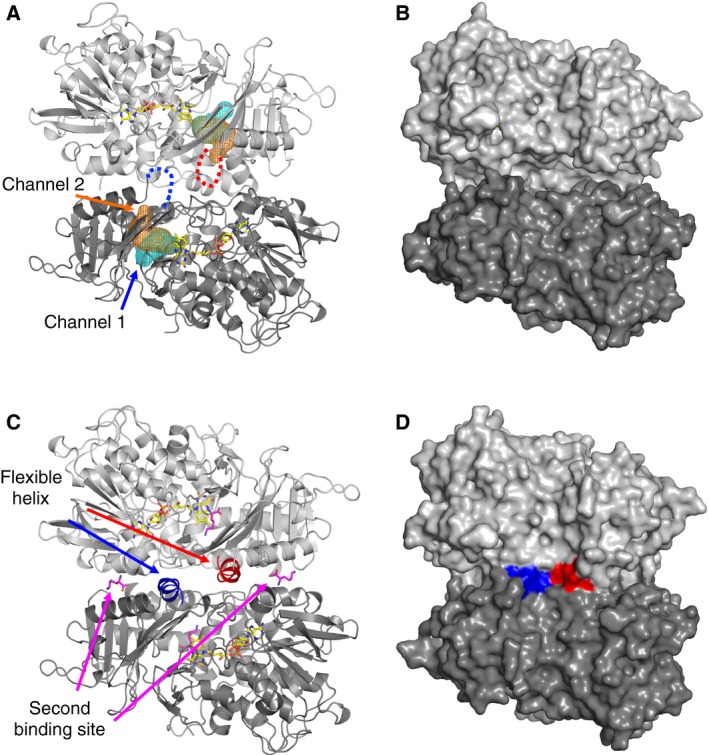 Figure 6