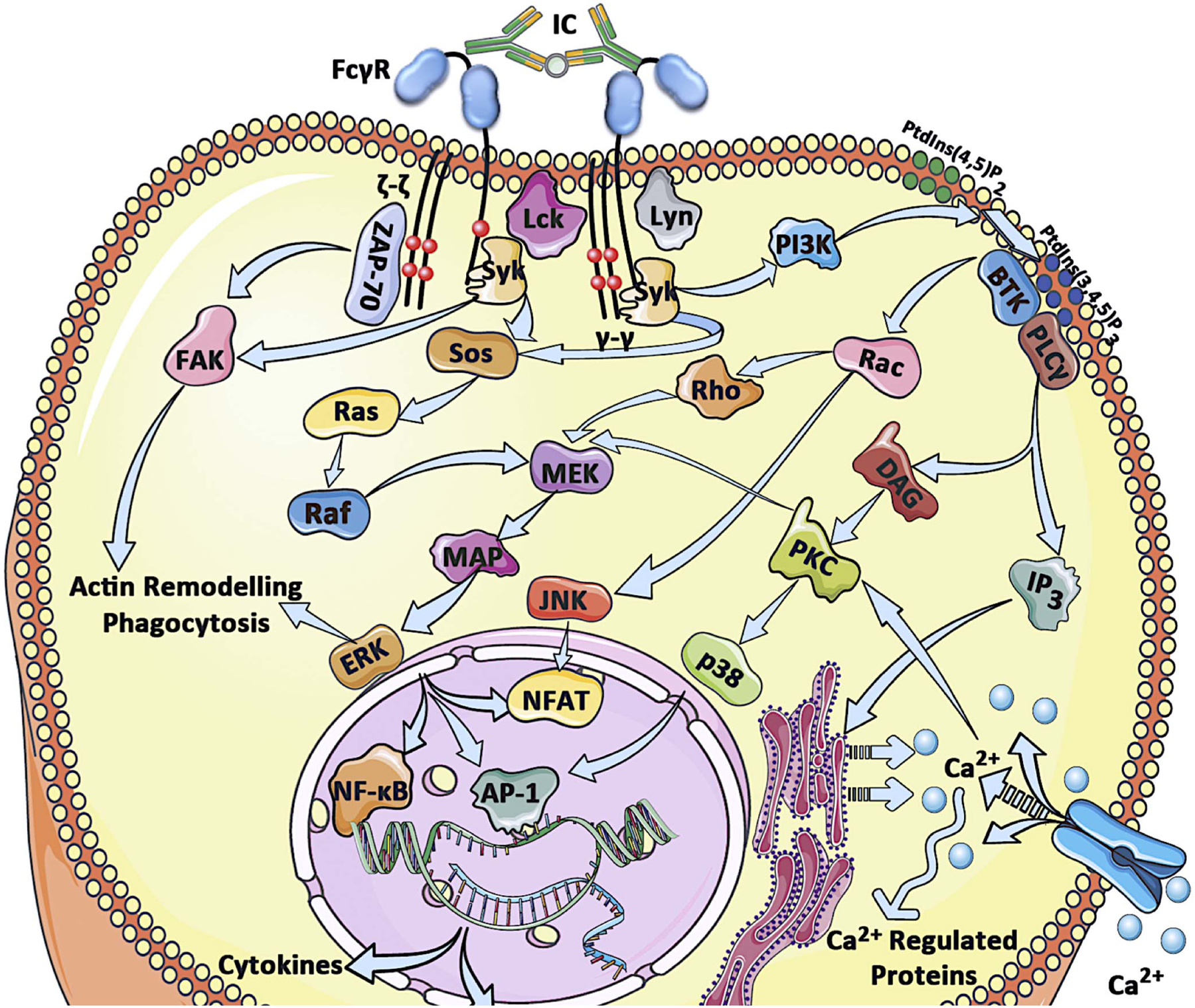 Figure 2: