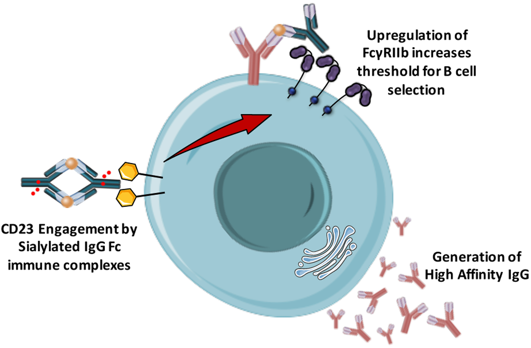 Figure 4: