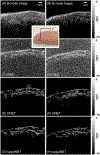 Fig. 9.