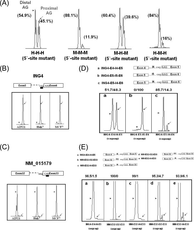 FIG. 3.