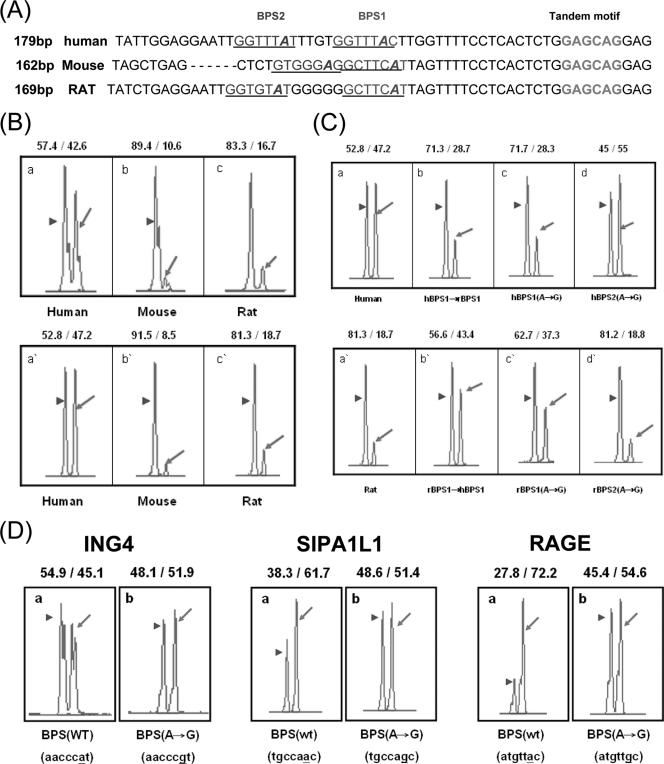 FIG. 6.