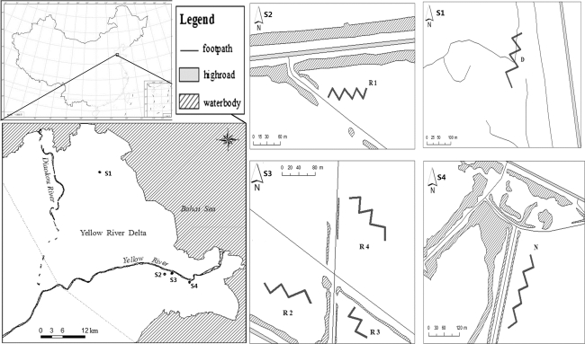 Fig. 1