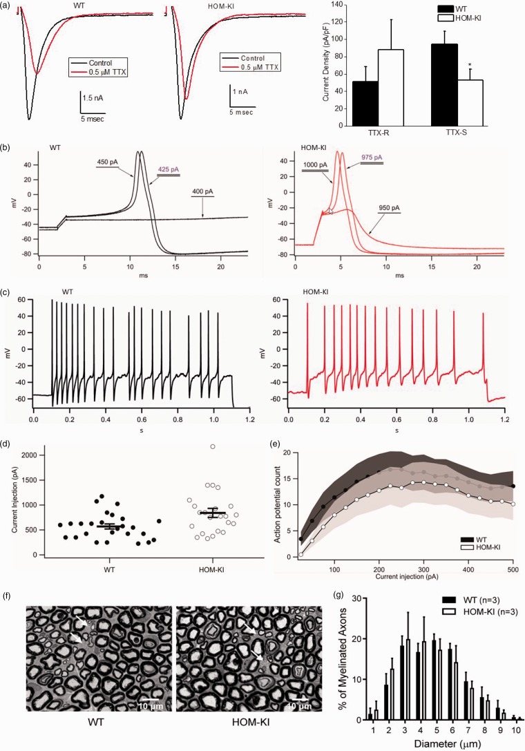 Figure 7.