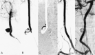 F<sc>ig</sc> 5.