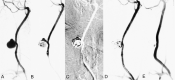 F<sc>ig</sc> 4.