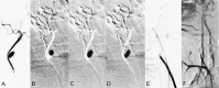 F<sc>ig</sc> 2.
