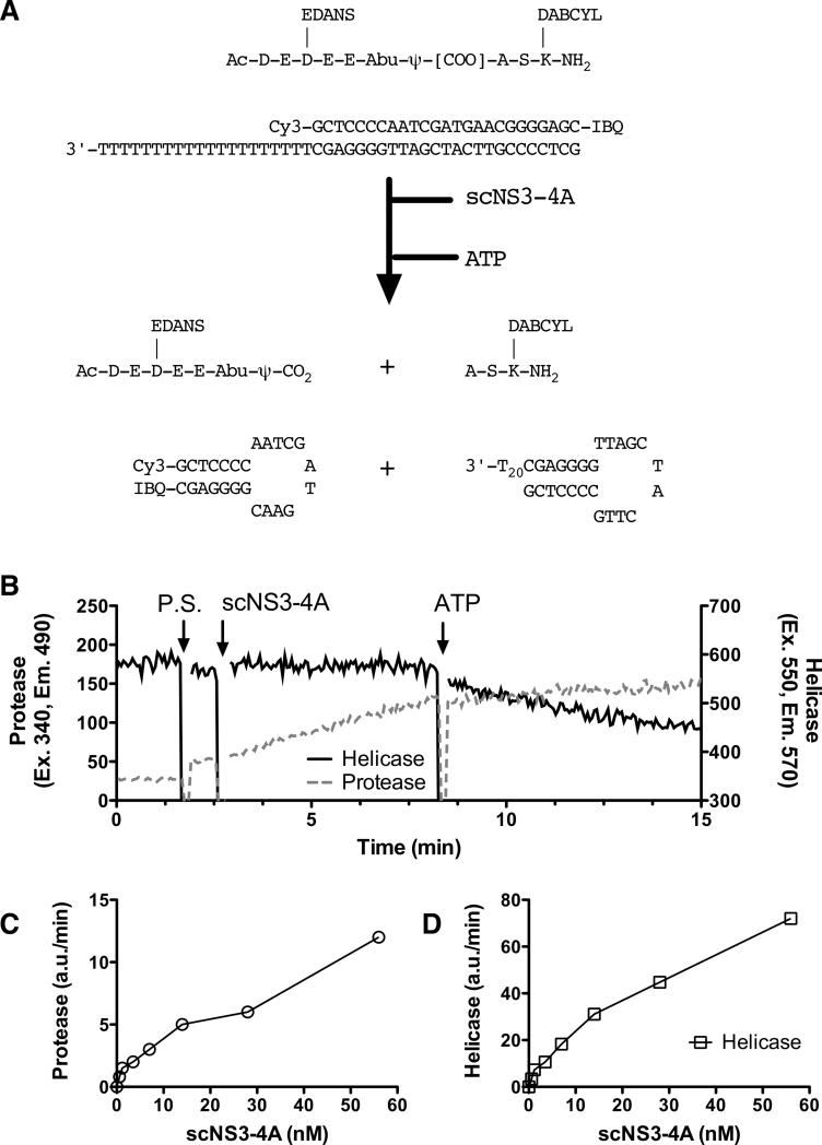 Fig. 1