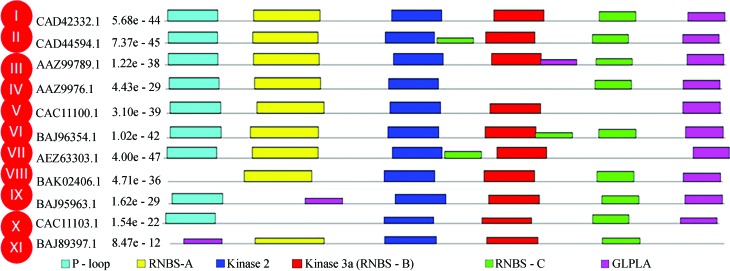 Figure 5