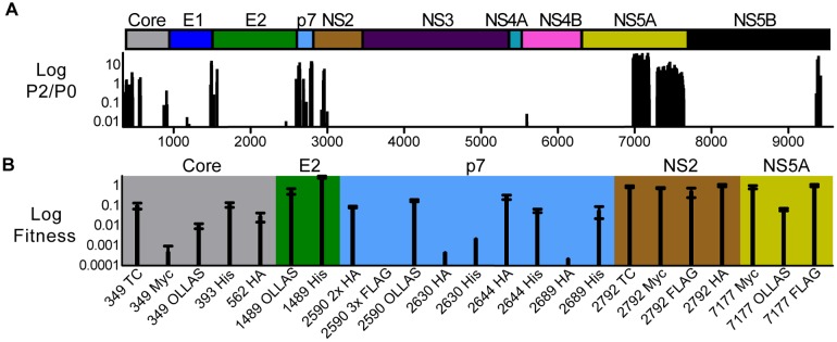 FIG 3 