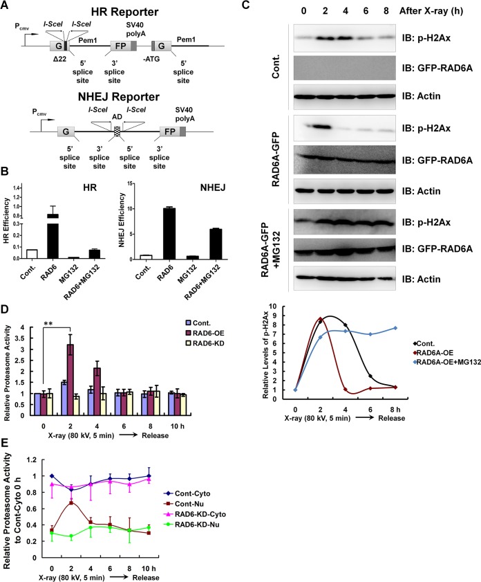 FIG 3