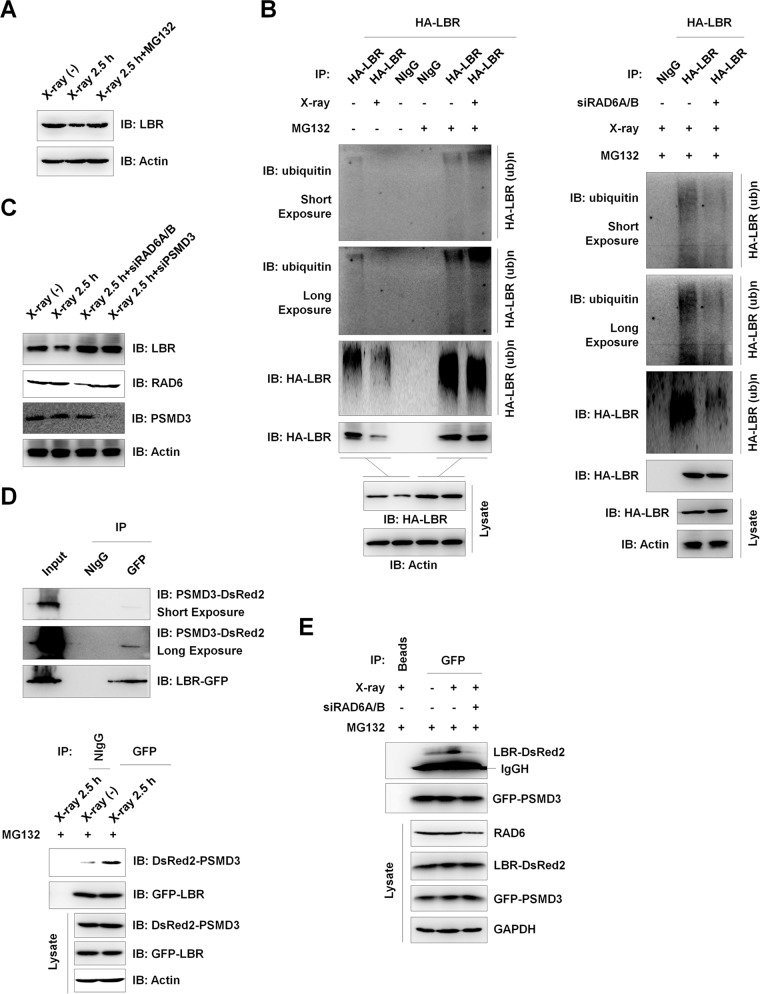 FIG 6