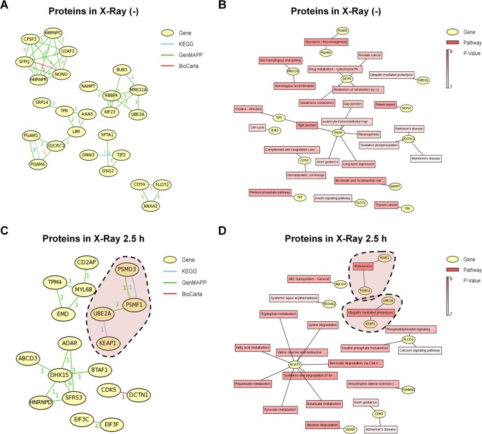 FIG 2