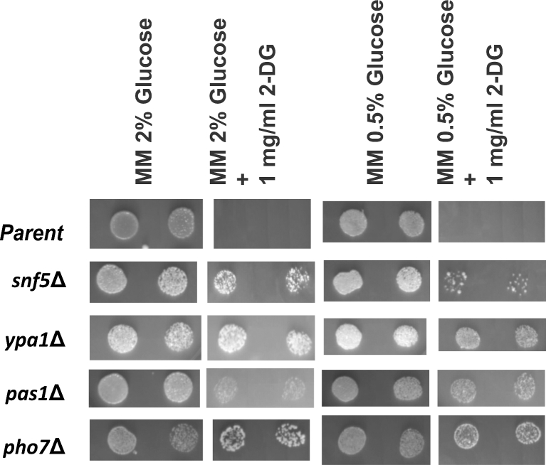 Figure 3.