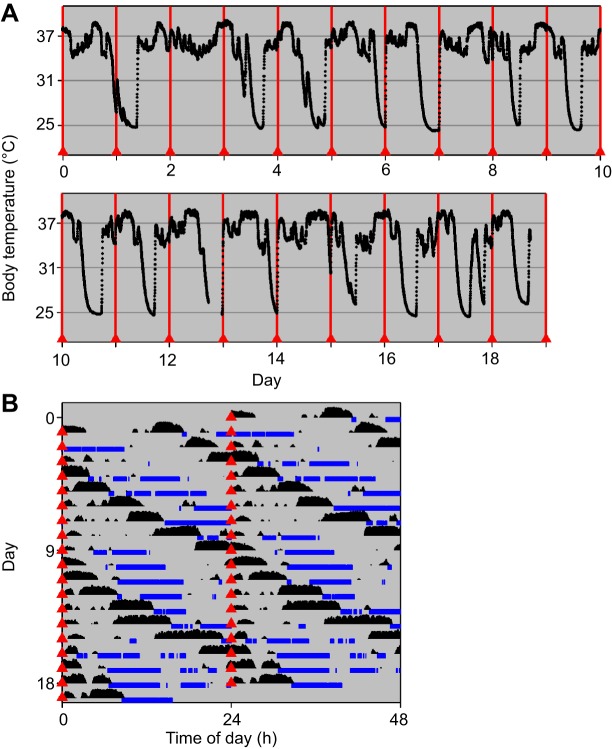 Fig. 4.