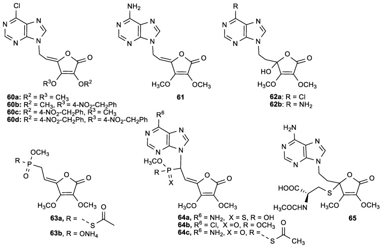 Figure 24