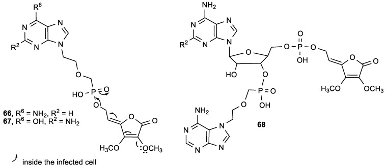 Figure 25