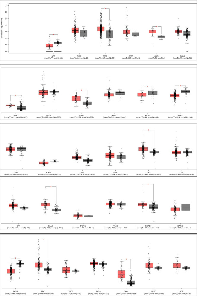 Figure 17