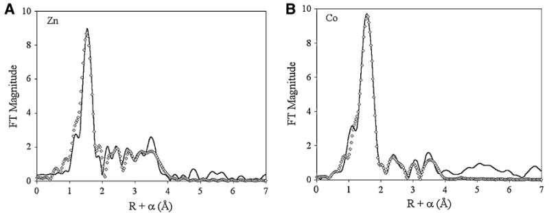 Fig. 10