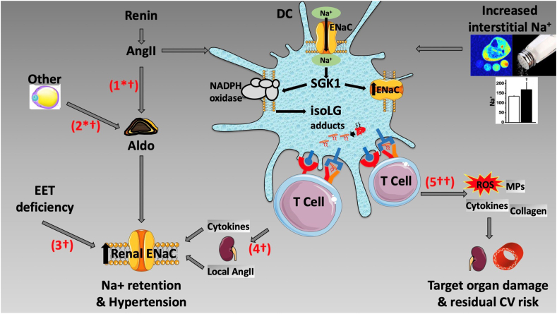 Fig. 1