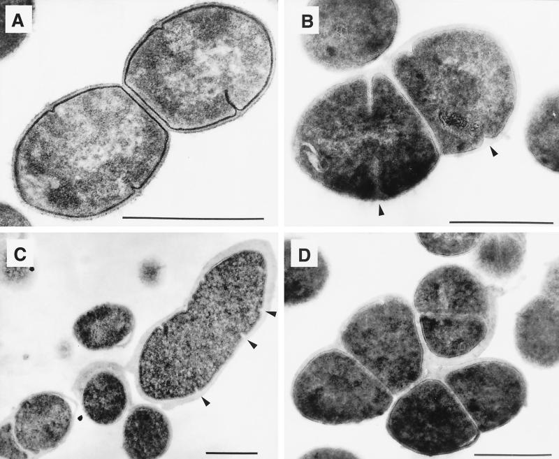 FIG. 5