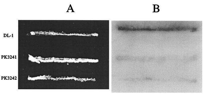 FIG. 3