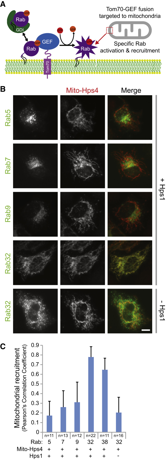 Figure 3