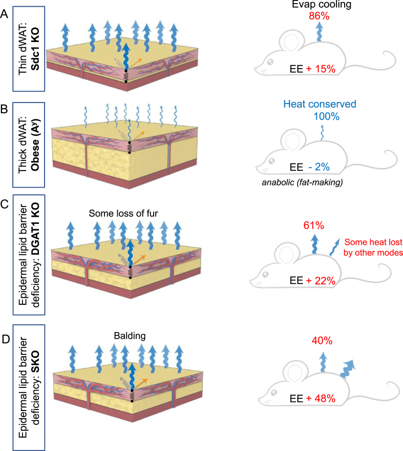 Figure 10