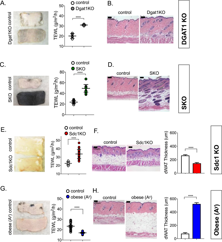 Figure 4