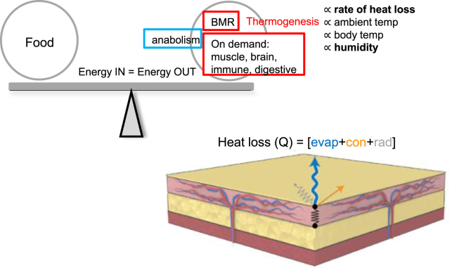 Figure 9