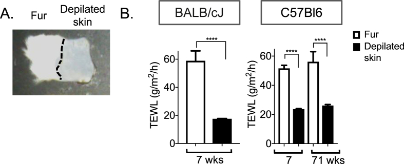 Figure 6