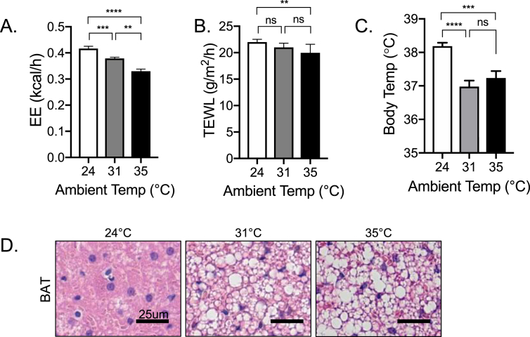 Figure 7