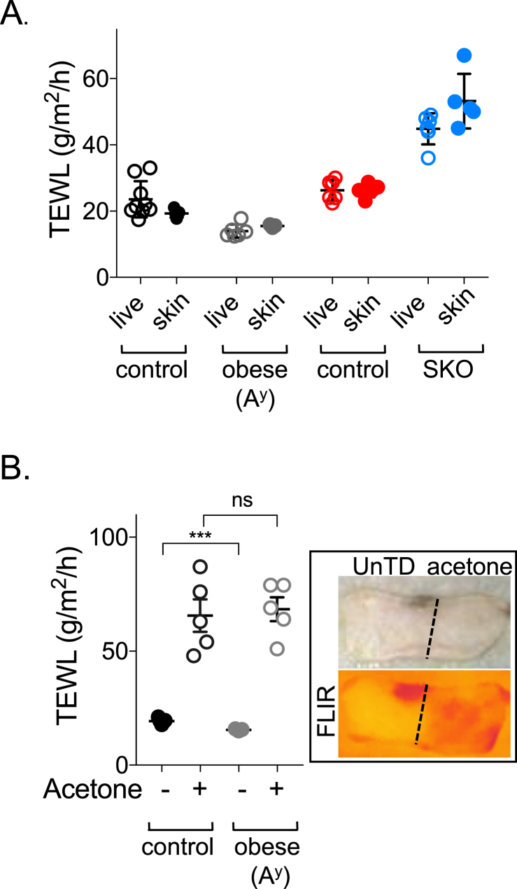 Figure 3