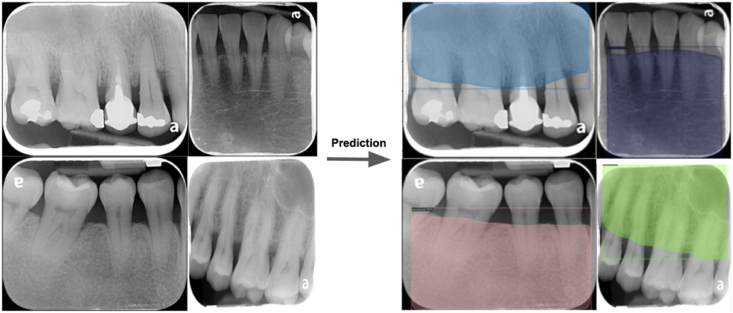 Fig. 6