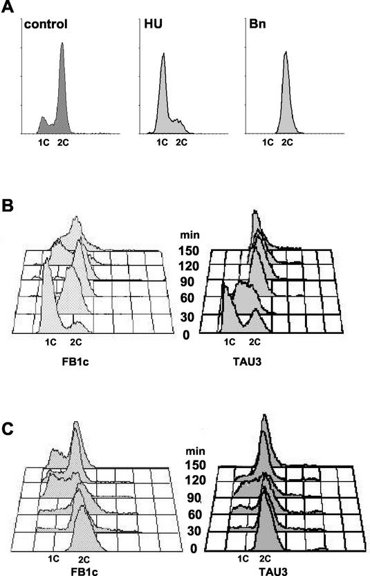 FIG.4.