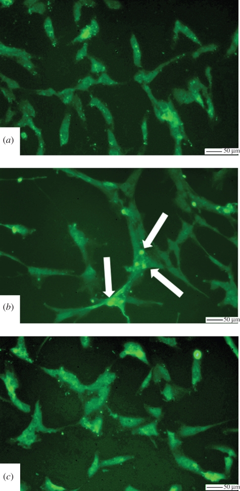 Figure 3.