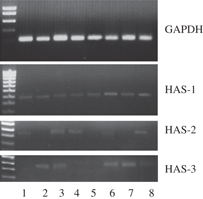 Figure 5.