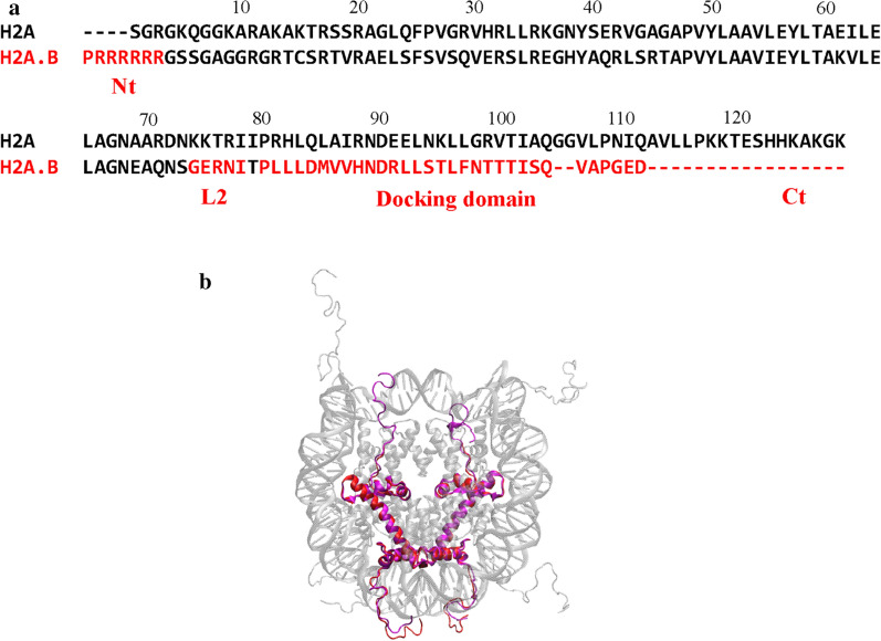 Fig. 1