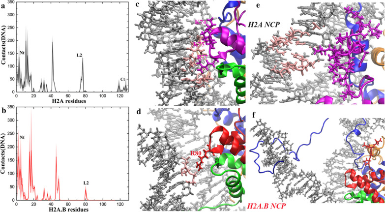 Fig. 4