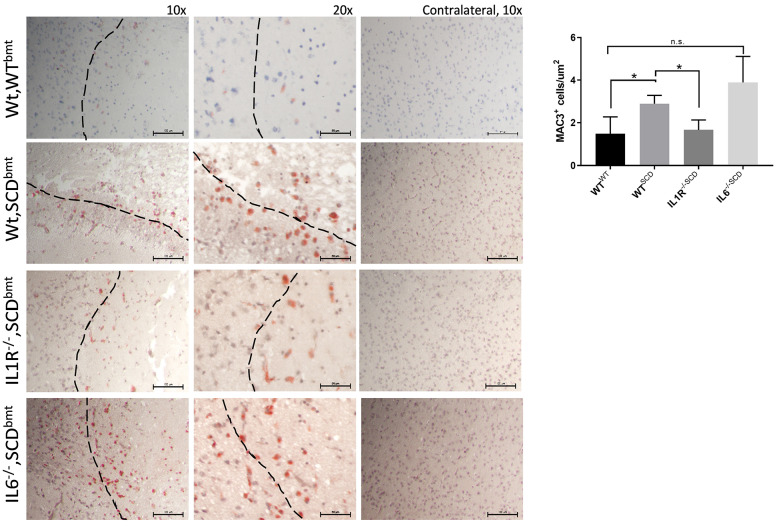 Figure 3.