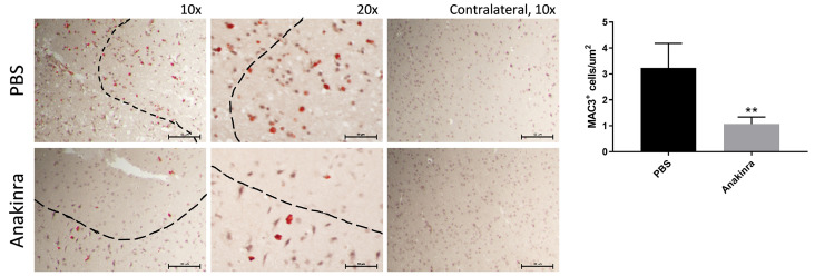 Figure 6.