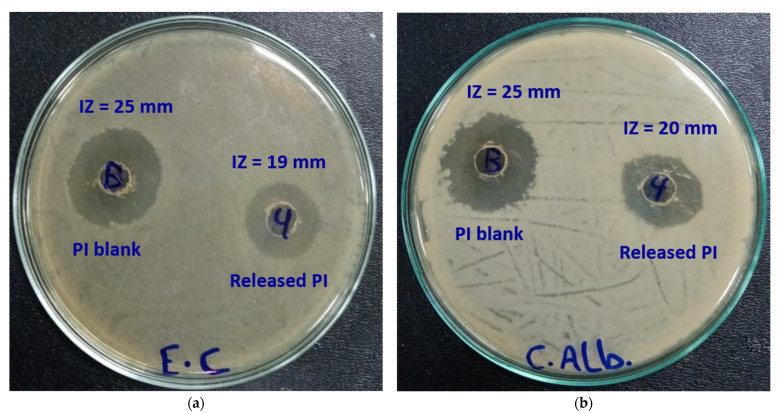 Figure 10