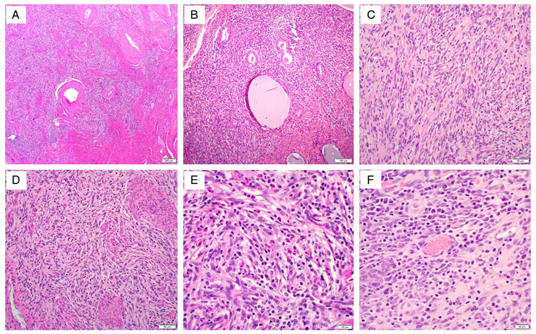 FIG. 3.