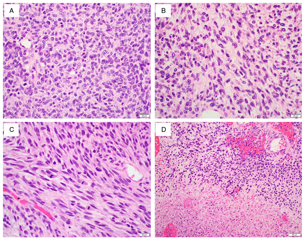 FIG. 2.