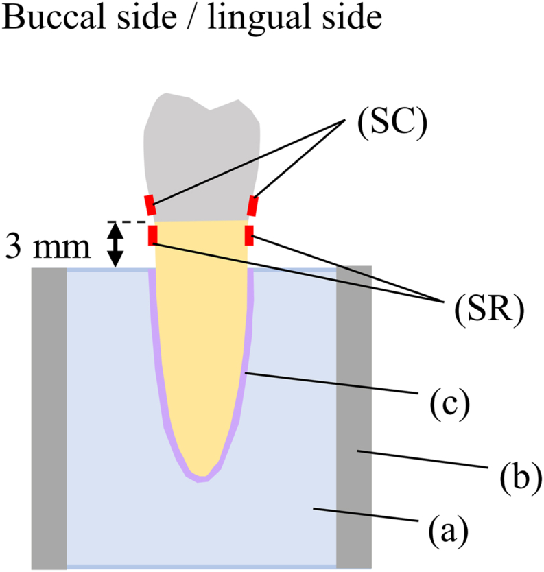 Fig. 3