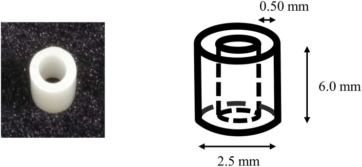 Fig. 1