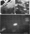 192-1